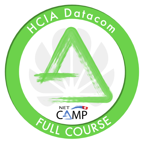 Huawei HCIA Datacom Full Course